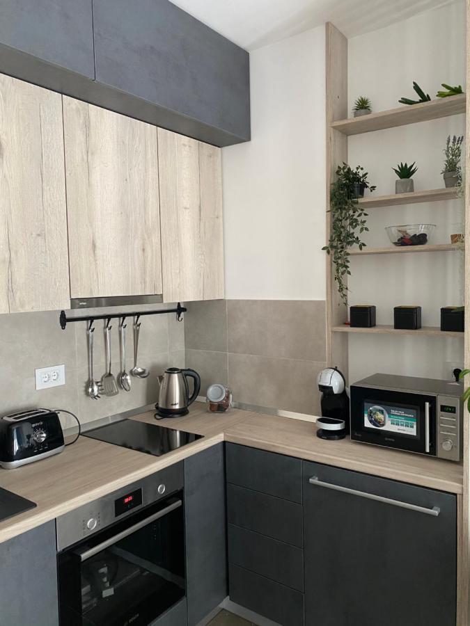 Apartment Pupin Star - City Centre Novi Sad Bagian luar foto