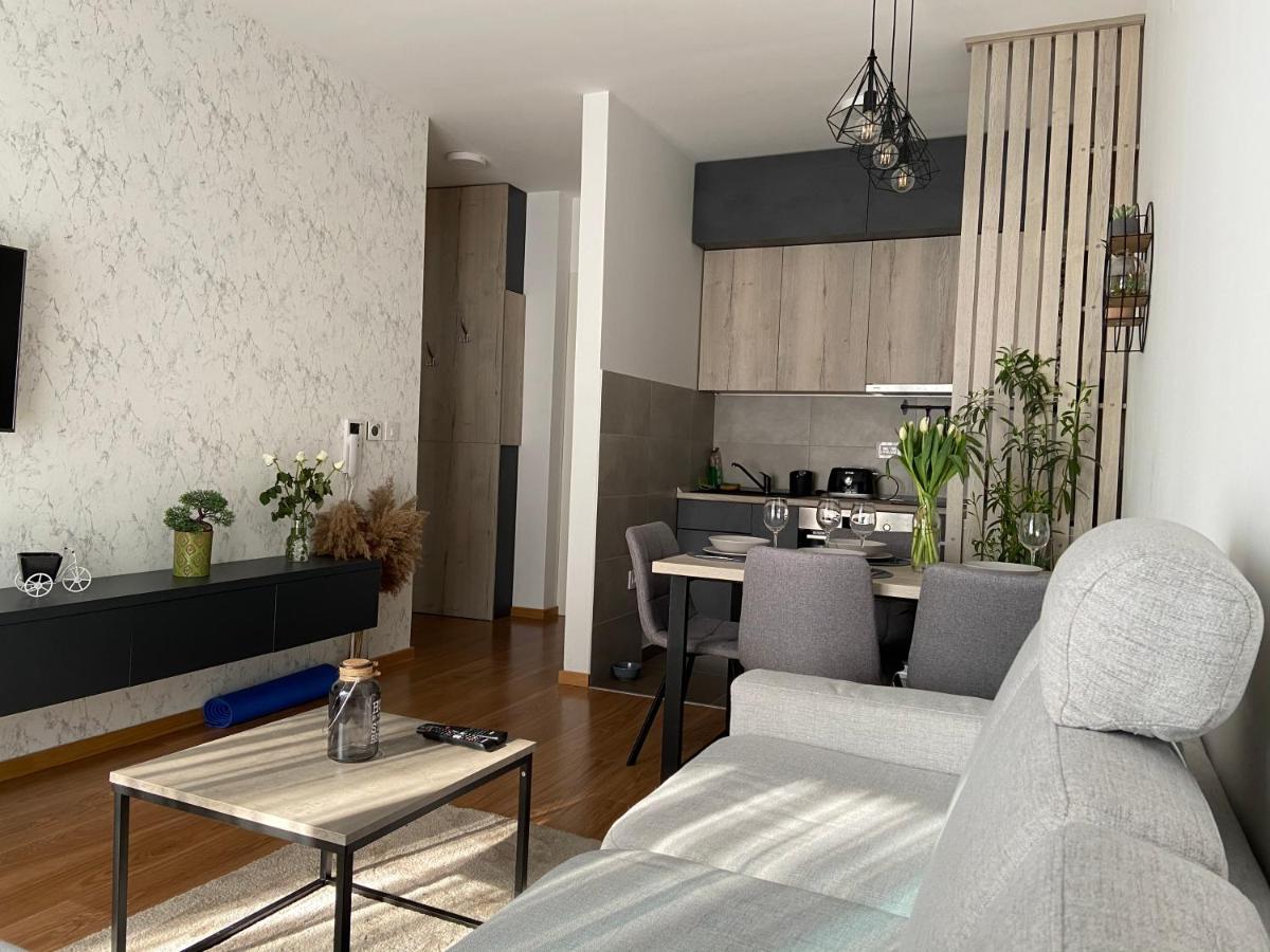Apartment Pupin Star - City Centre Novi Sad Bagian luar foto
